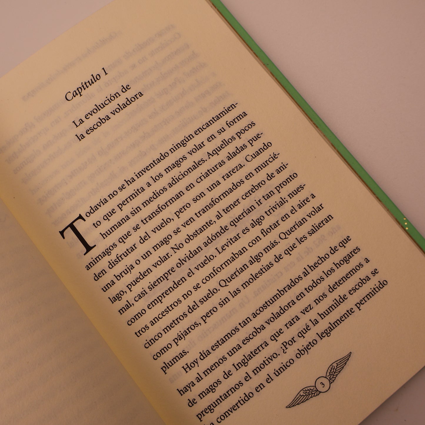 Libro Quidditch