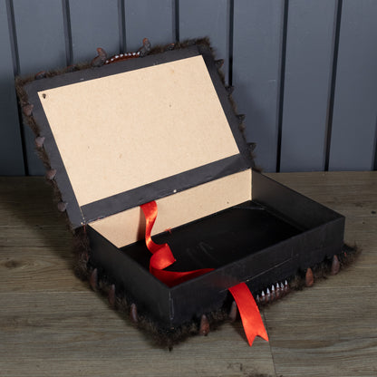 Estuche  Monster-Box