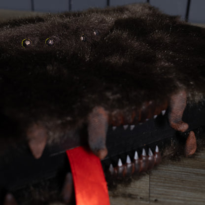 Estuche  Monster-Box